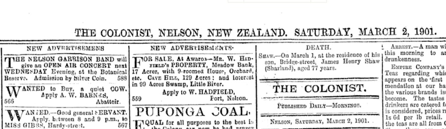 The Colonist, Nelson, New Zealand